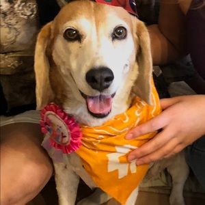 Meet your Posher, Allison